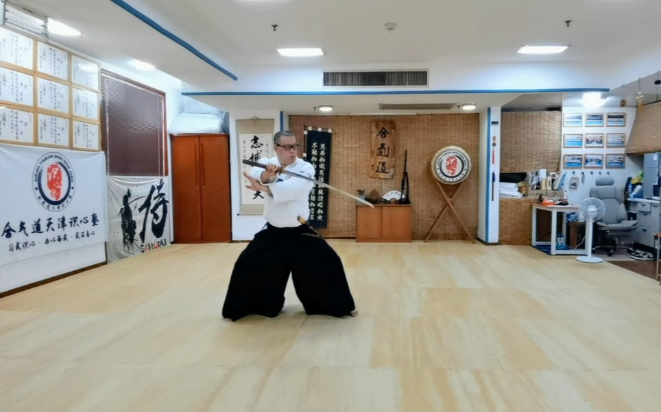 合气居合刀法之相半身四教表技居合型组太刀体术原理的讲解