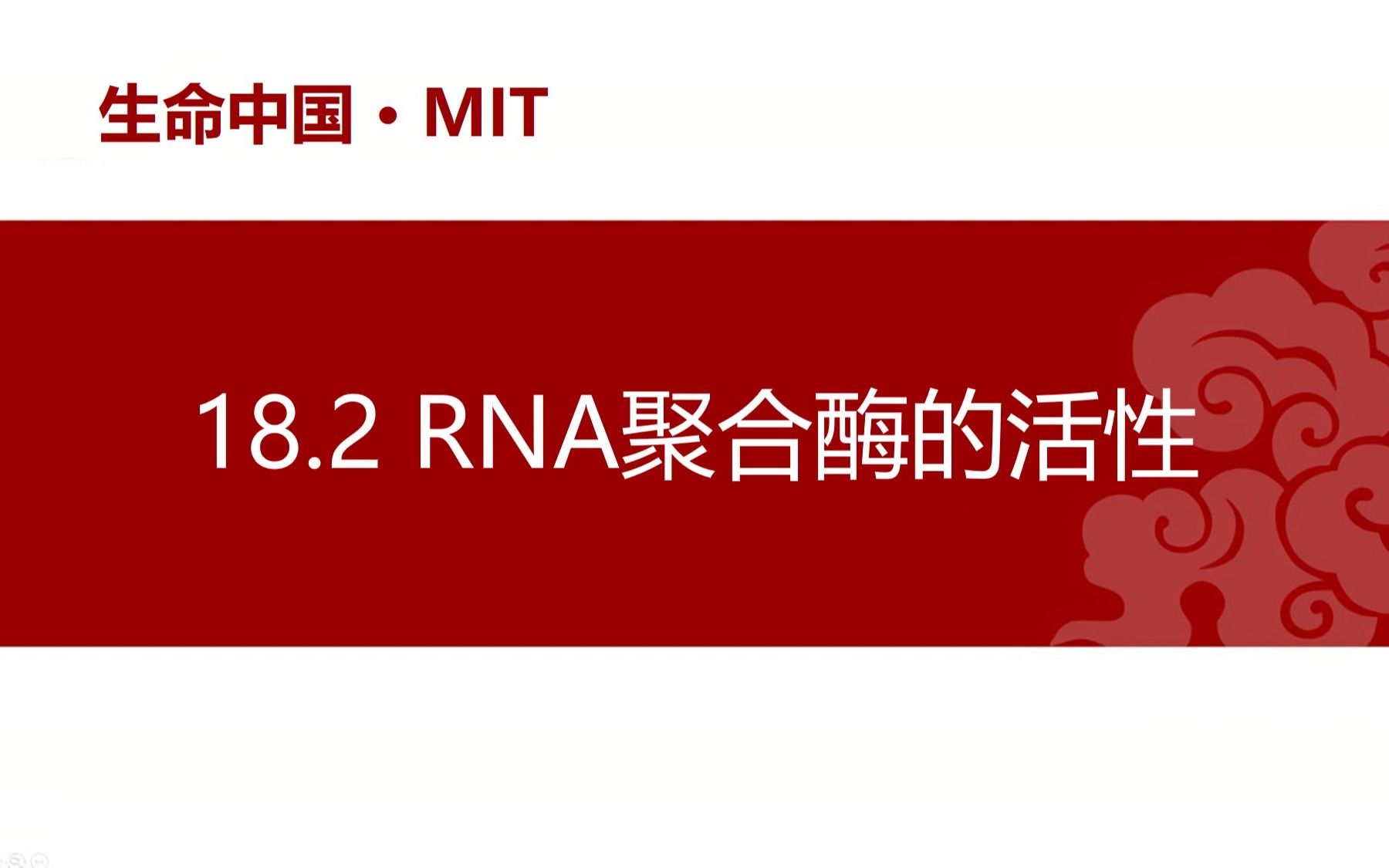 【分子】18.2 RNA聚合酶的活性哔哩哔哩bilibili