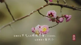 Download Video: 24节气-清明，清明时节雨纷纷……