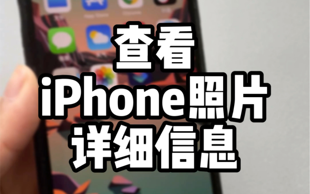 在iPhone相册中,查看照片详细信息哔哩哔哩bilibili