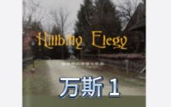 乡下人的悲歌一哔哩哔哩bilibili