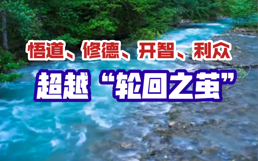 悟道、修德、开智、利众,超越“轮回之茧”哔哩哔哩bilibili