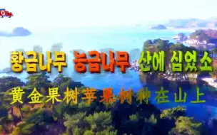 Tải video: 朝鲜歌曲《黄金果树苹果树种在山上》—朝鲜之声官方中文字幕版