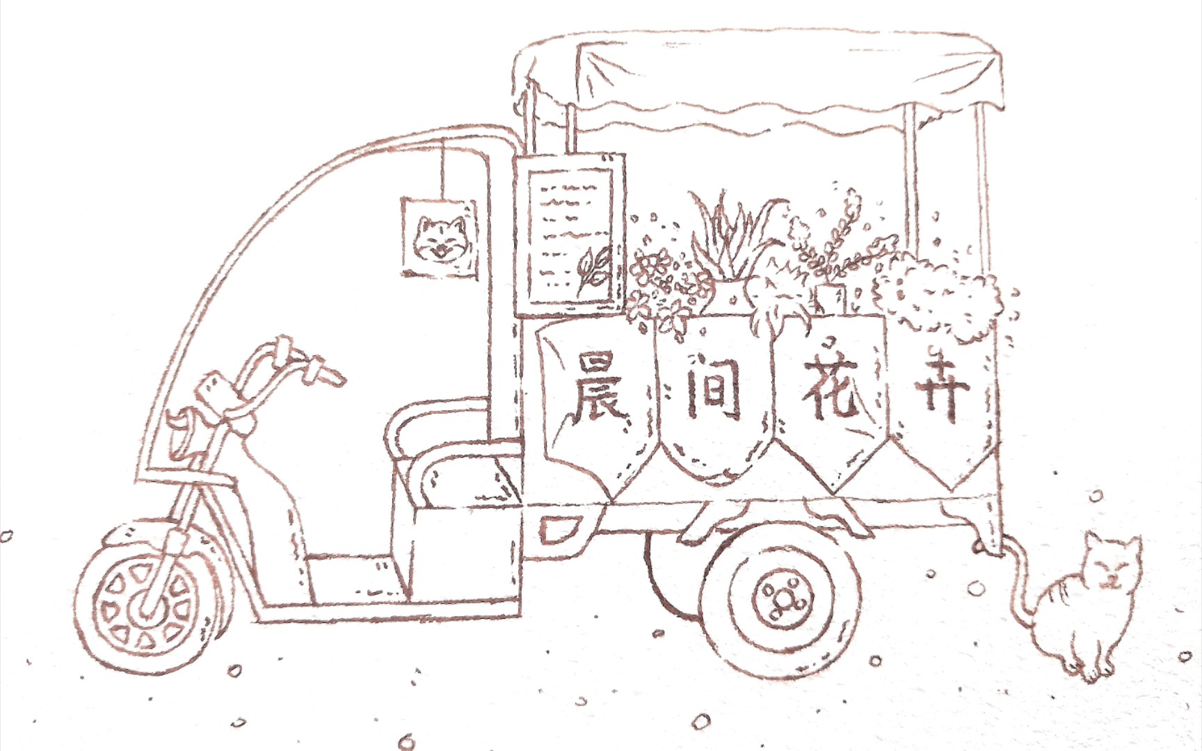 晨间花卉正式开业