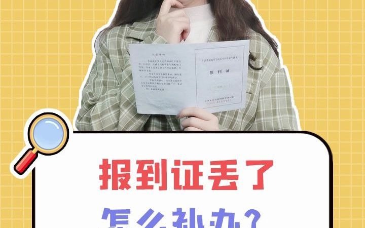 报到证丢了怎么补办?哔哩哔哩bilibili