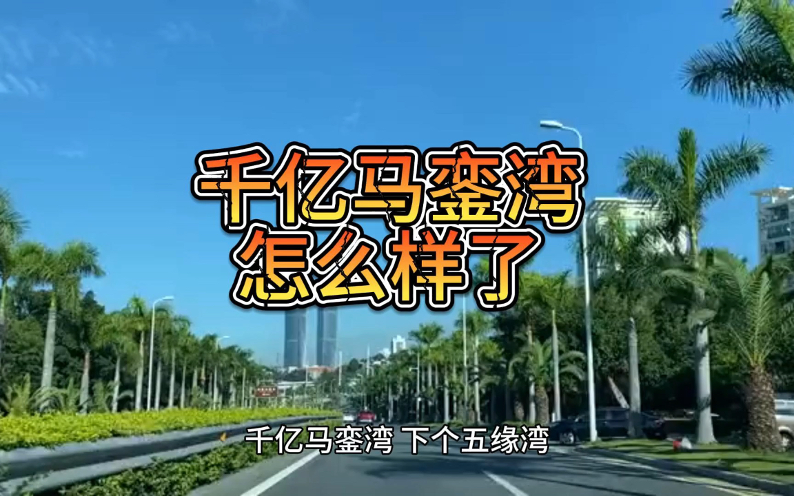 千亿马銮湾,买了亏多少哔哩哔哩bilibili