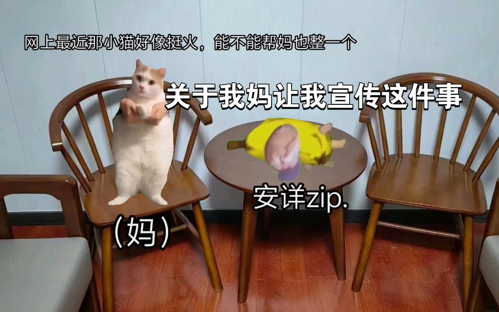 【猫meme】关于我妈看猫meme上瘾后,让我帮忙做一期,宣传家具这件事哔哩哔哩bilibili