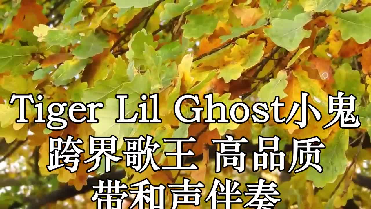 tiger(live) lil ghost小鬼 跨界歌王 高品质 带和声伴奏