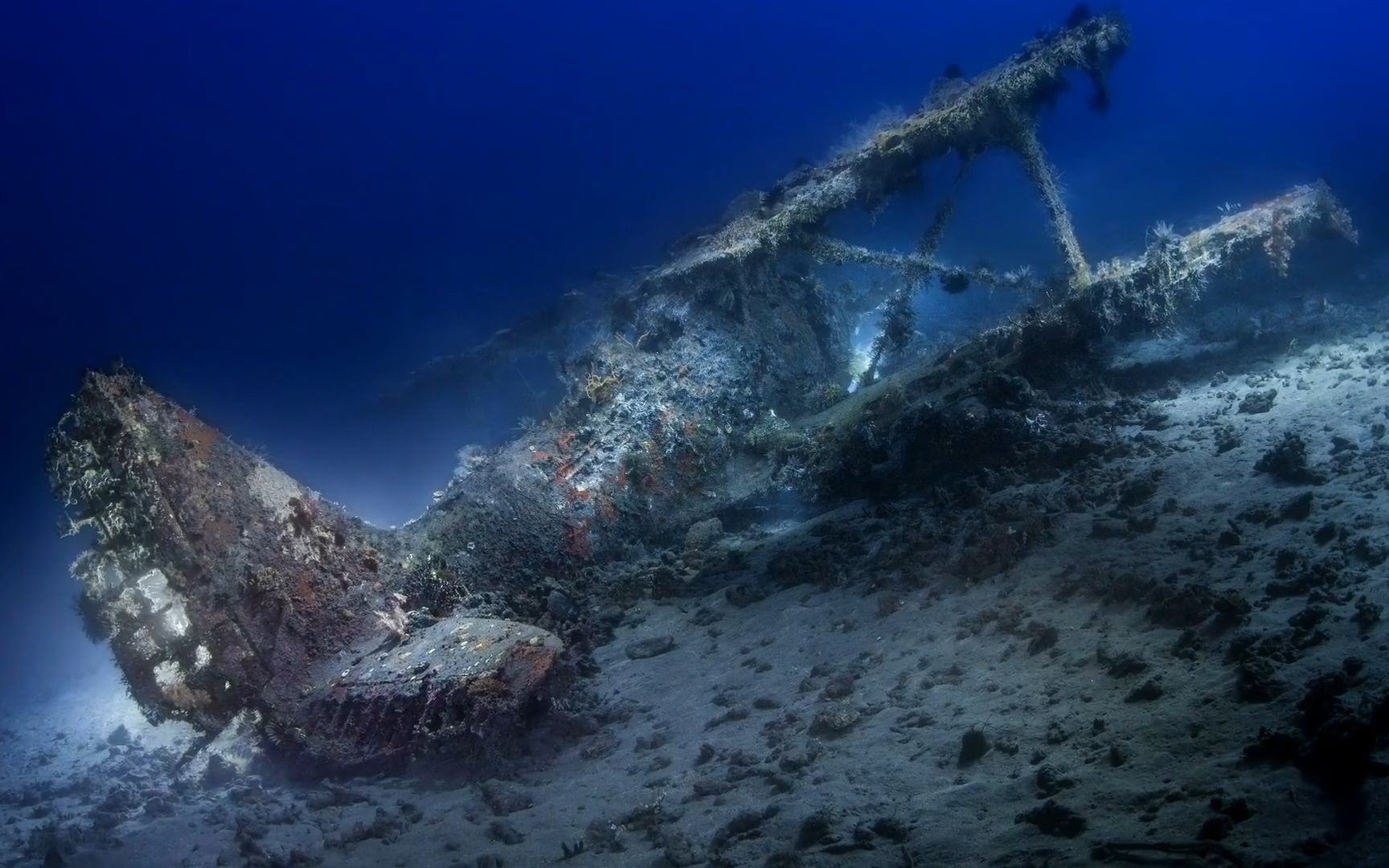 拉包尔:西太平洋的港口城市 是潜水摄影的热门地区