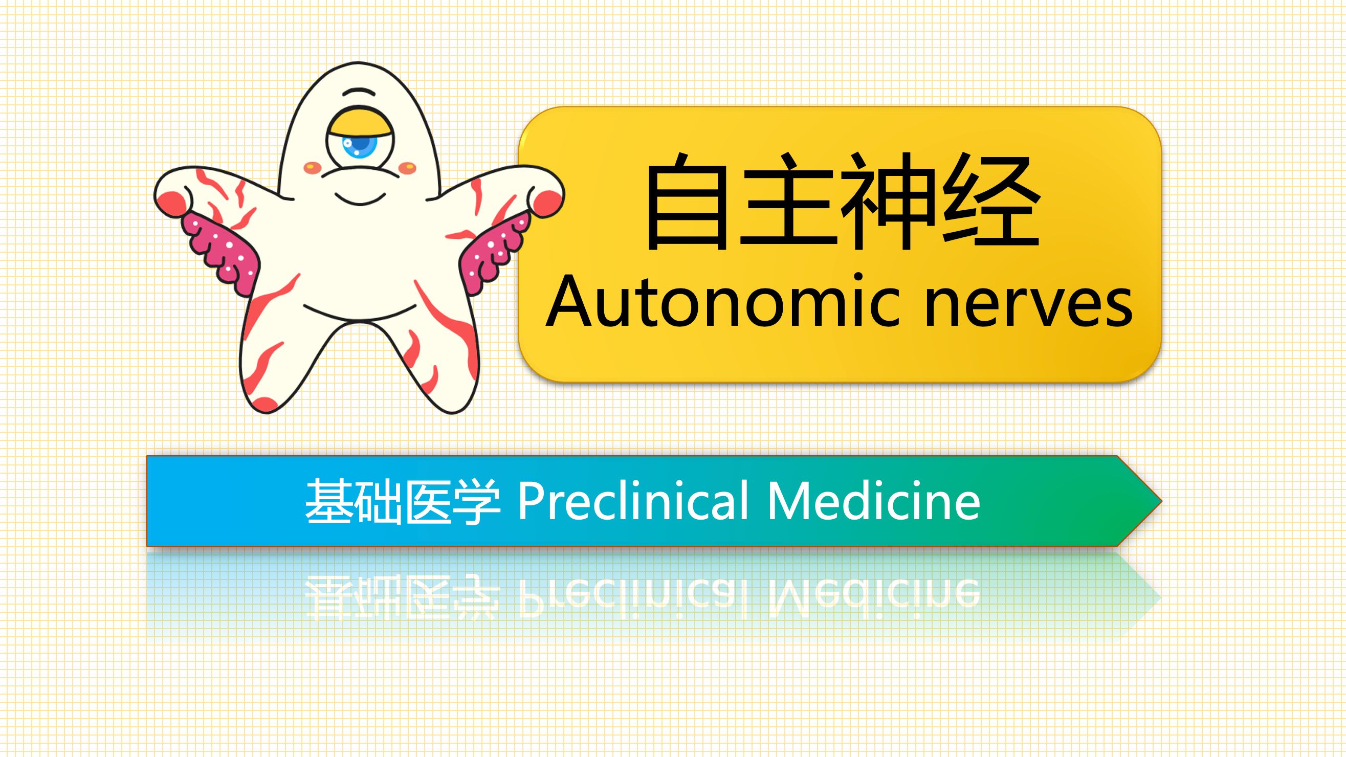 自主神经;交感神经;副交感神经【医学生必学系列】哔哩哔哩bilibili