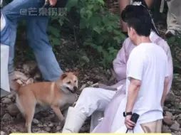 Скачать видео: 成毅他真的！坐下温柔的拿开了裙摆~