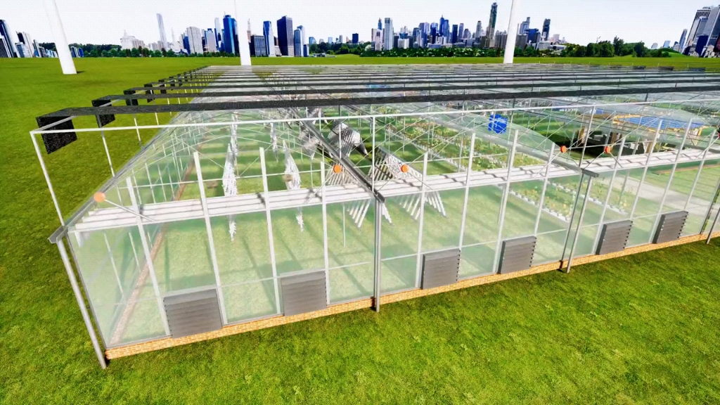 连栋大棚无土栽培效果图