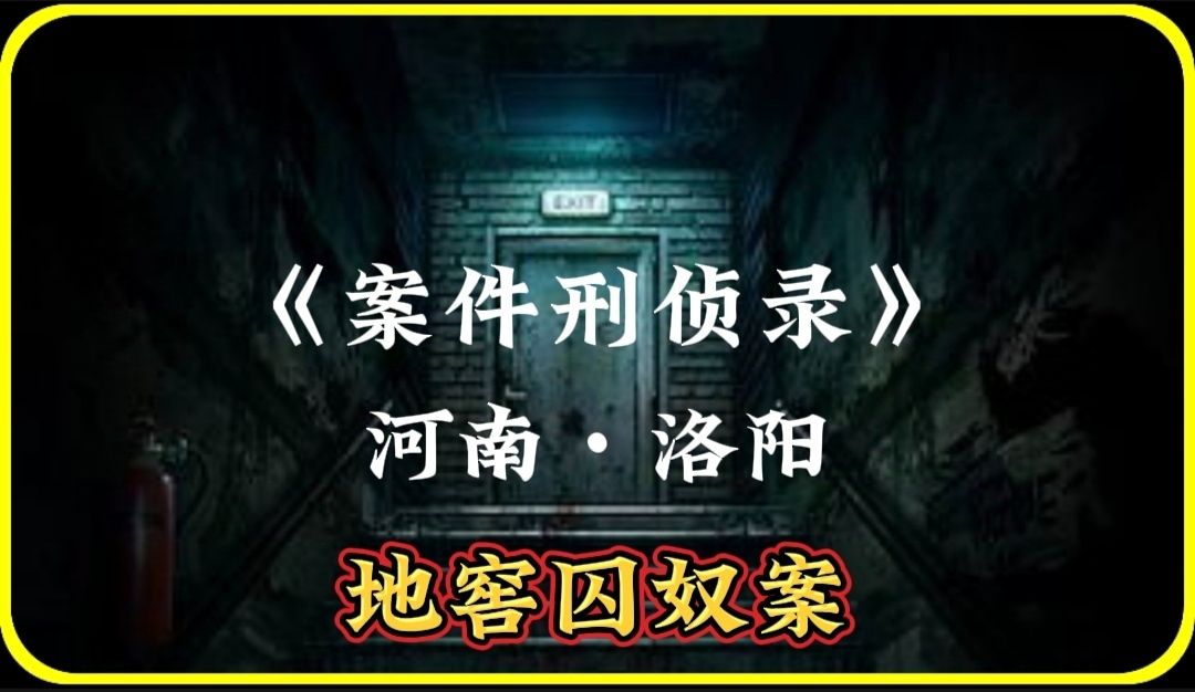 震惊全国的洛阳地窖囚奴案,六名被侮辱的女子还为凶手求情?哔哩哔哩bilibili