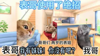 Download Video: 【猫meme】为了能吵赢表哥，哥哥非要妈妈生个妹妹的故事