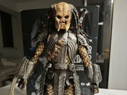 Descargar video: hottoys ht 铁血战士刀疤2.0测评