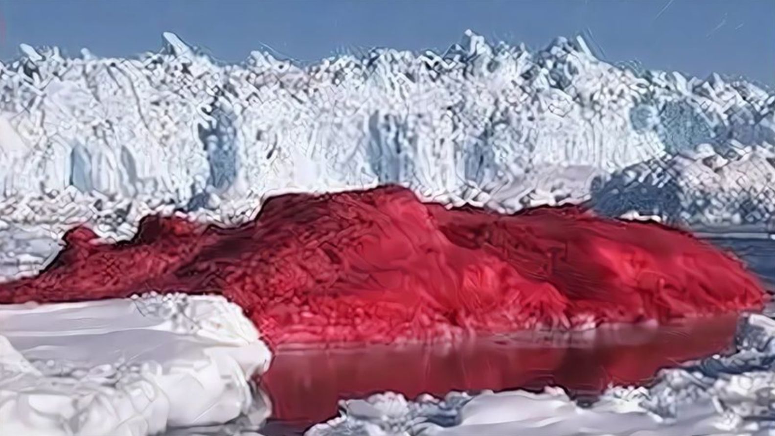 南极出现"血雪",科学家害怕的事悄然上演,地球或将存在危险?