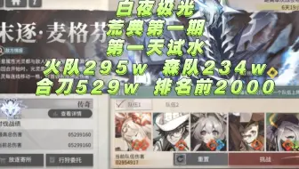 【白夜极光】荒典第一期 第一天试水 火队295w 森队234w 合刀529w 排名前2k（发完视频就掉出去了）