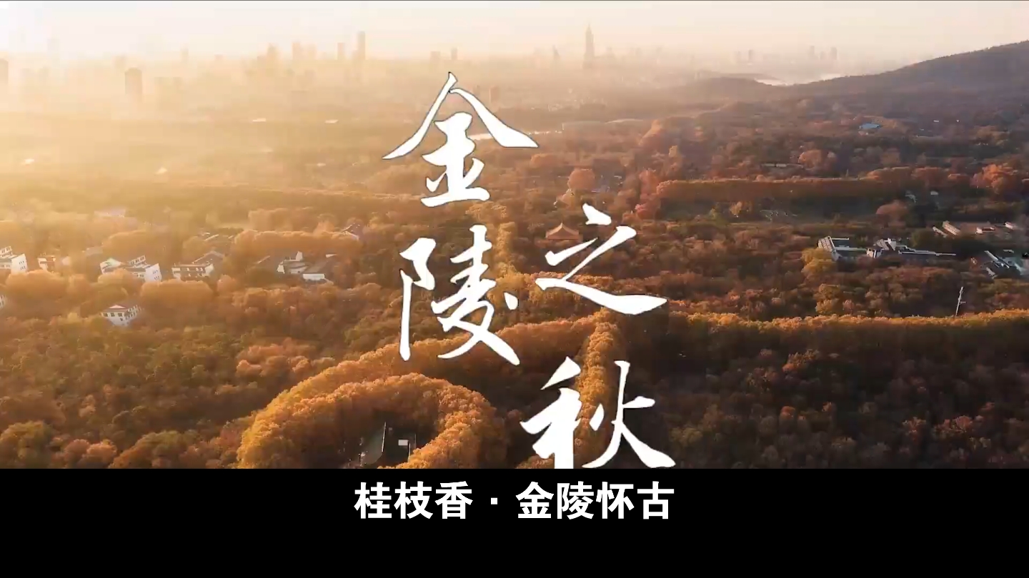桂枝香金陵怀古