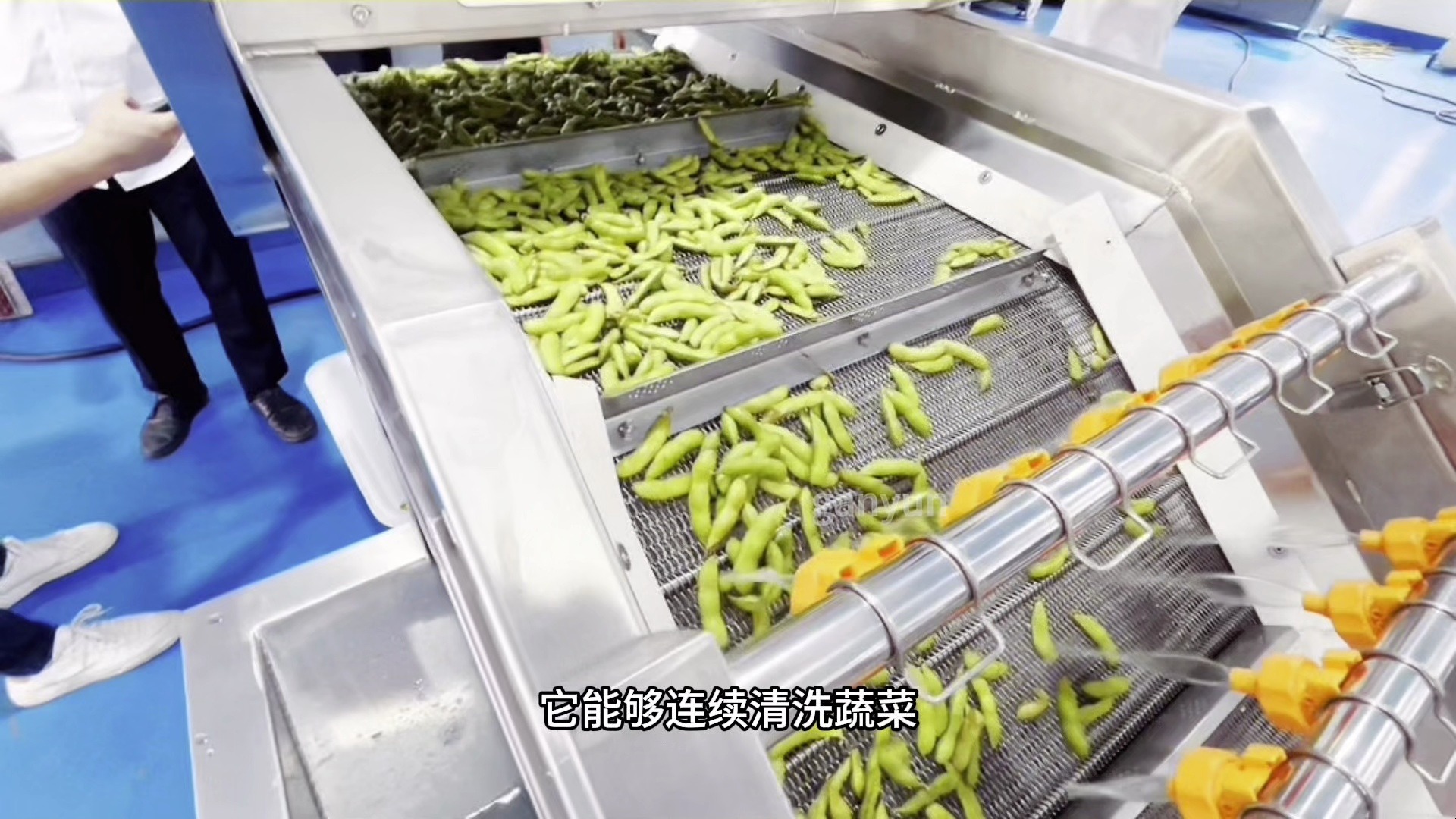 毛豆自动清洗机 多功能气泡清洗机