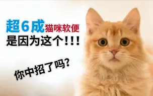 Download Video: 快速判断猫咪应该吃多少！如何判断猫咪是不是消化不良？