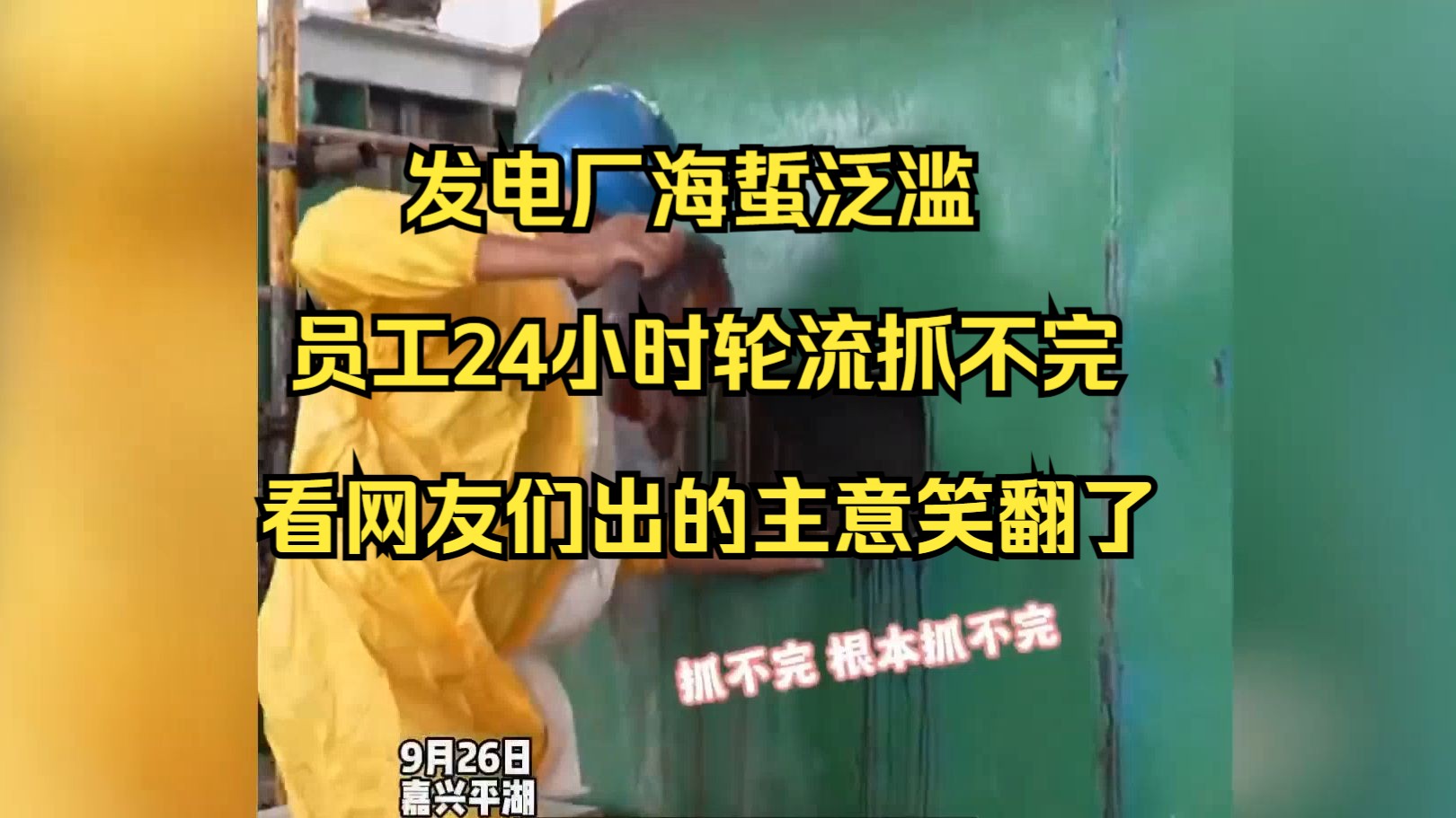 发电厂海蜇泛滥,员工24小时轮流抓不完,看网友们出的主意笑翻了哔哩哔哩bilibili