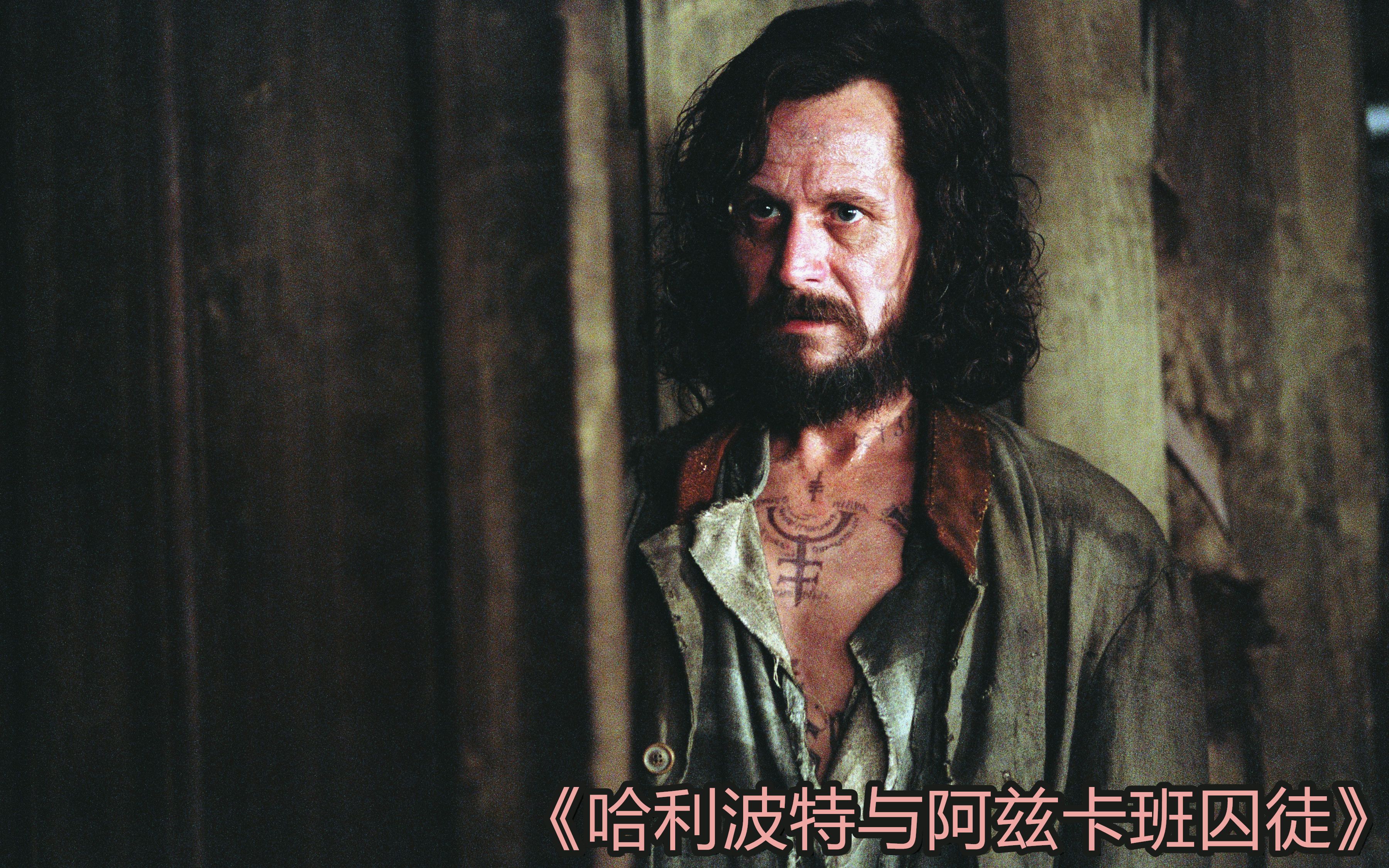 瓜皮儿哈利波特系列第三期世界最帅教父小天狼星出场