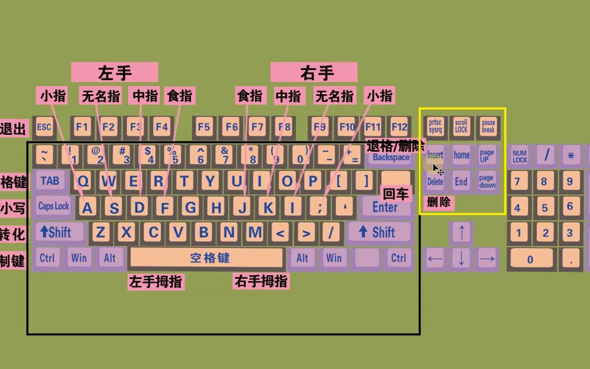 零基础快速学拼音学五笔打字教程,键盘打字快速入门