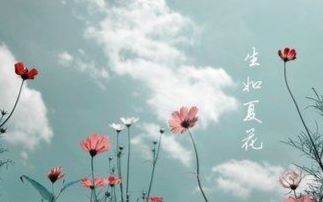 【读诗】《生如夏花》泰戈尔哔哩哔哩bilibili