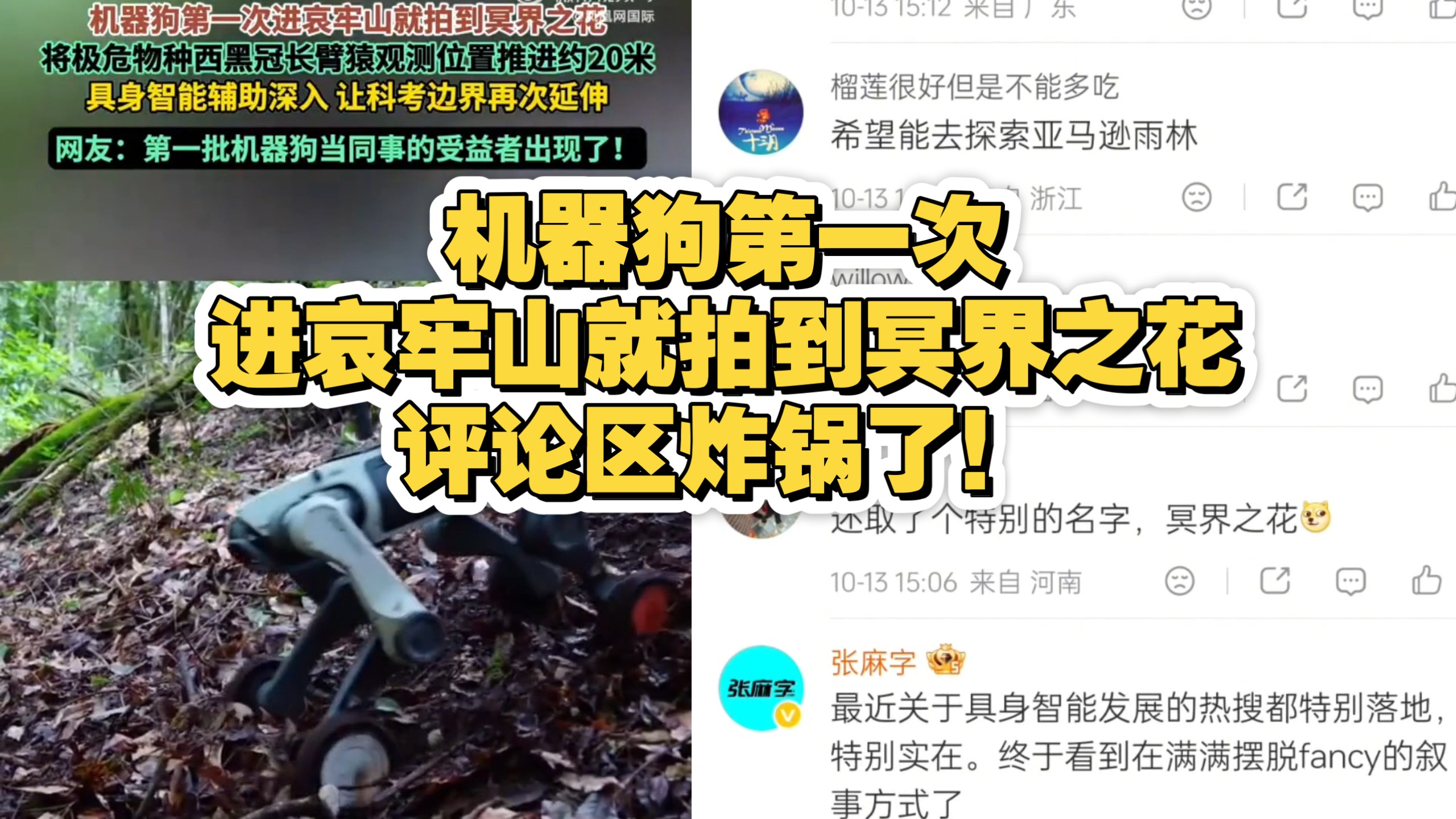 机器狗第一次进哀牢山就拍到冥界之花，评论区炸锅了！