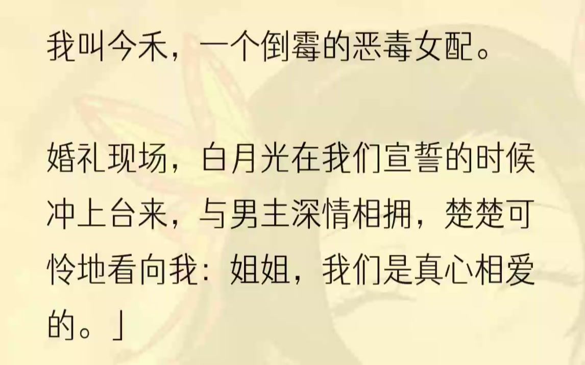 (全文完整版)说实在的,宋今禾一个学习好、有钱有颜的主儿怎么就非男主不可了呢.抛去其他不说,她也是一个非常优秀的女孩子啊.因缘际会,既然......