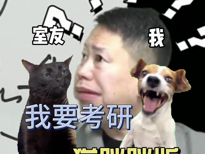 【猫meme】宇哥,我要考研哔哩哔哩bilibili