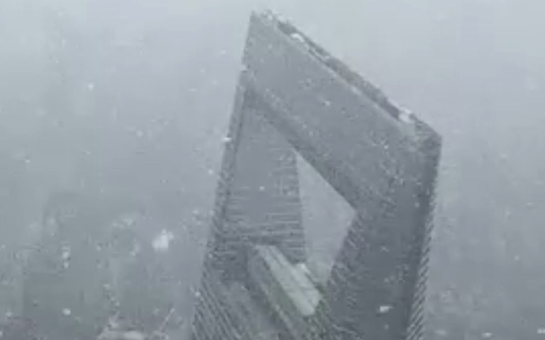 [图]上海又双下雪了！上海之巅飘起“认真的雪