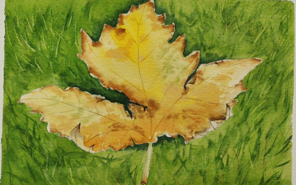 一叶落而知天下秋 水彩落叶