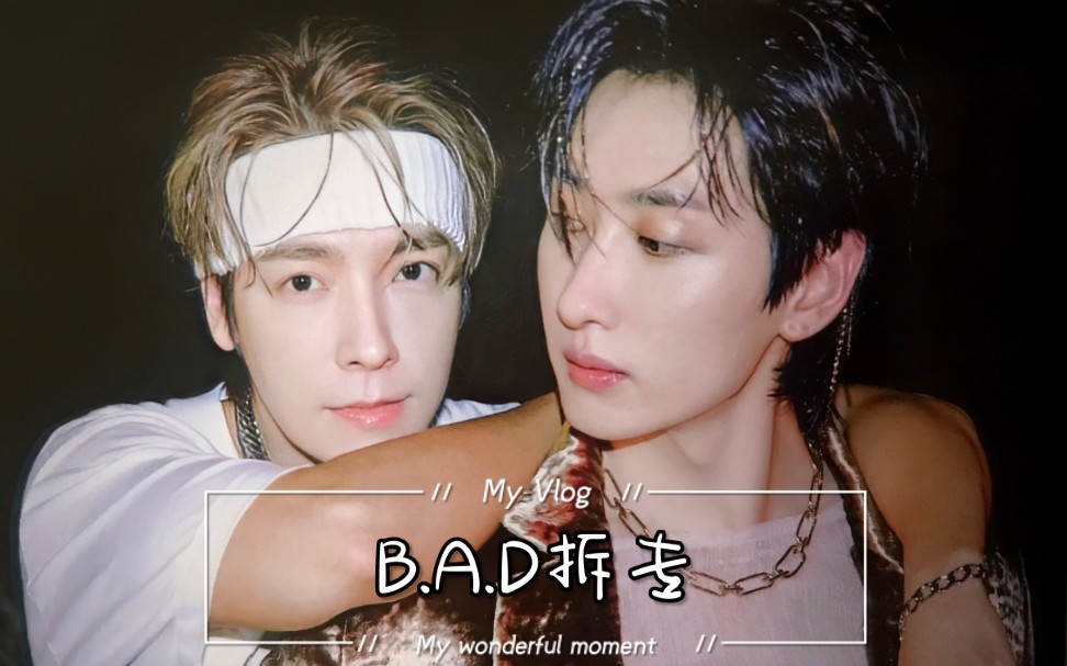 【炸炸糕】半车赫海四胎b.a.d拆专