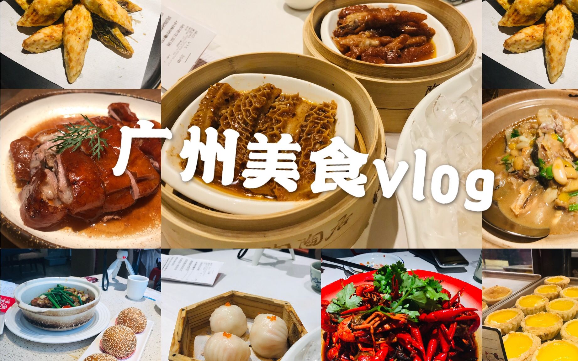 广州美食vlog|吃遍越秀区|陶陶居|沙湾甜品|传记潮发牛肉馆(巨好吃哔哩哔哩bilibili