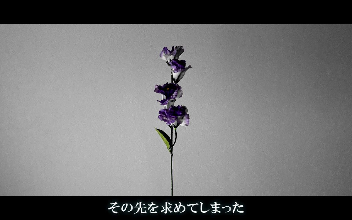 [图]【初音ミク】银莲花【イバラナ】