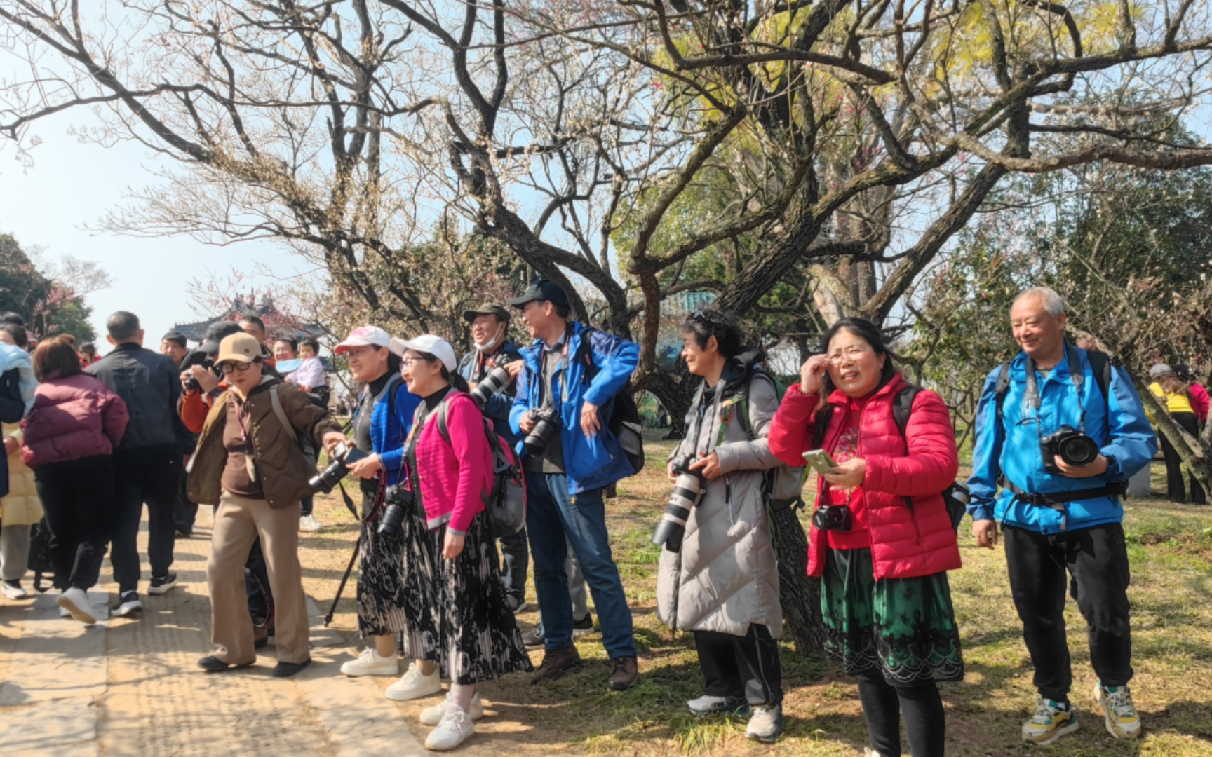 [图]《江南春满园，红梅花儿艳》，洛阳市老年摄影家江南采风活动掠影