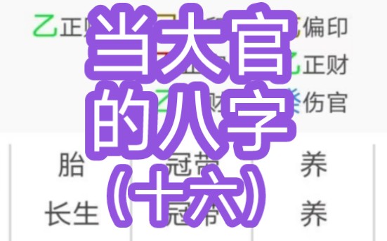 当大官的八字(十六)哔哩哔哩bilibili