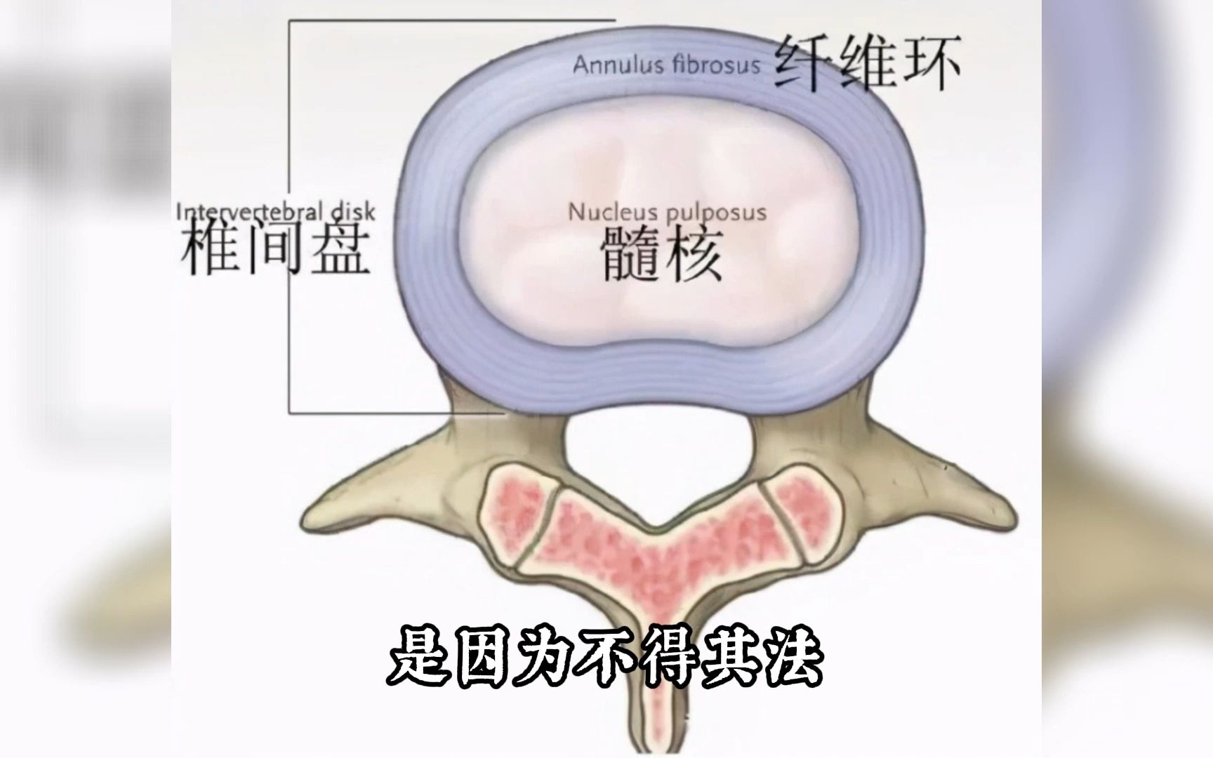 三人行中医培训平台张文勇老师讲解《调衡微针》治疗痔疮的思路与方法哔哩哔哩bilibili