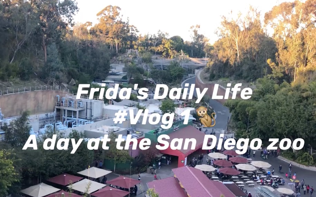 [图]VLOG｜One day in San Diego 在动物园里散步才是正经事