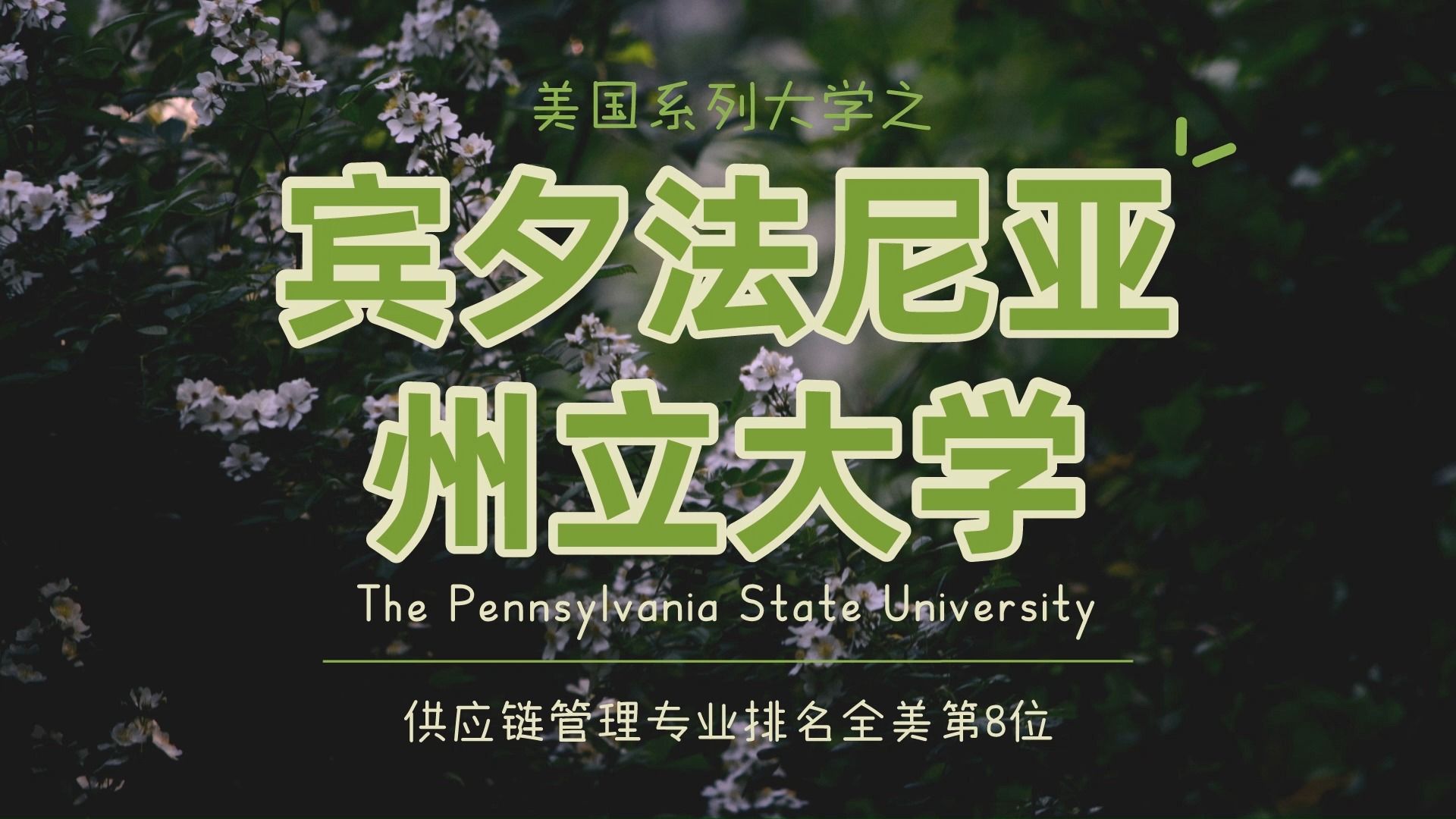 宾夕法尼亚州立大学,在2024QS大学排名中位列世界第83位哔哩哔哩bilibili