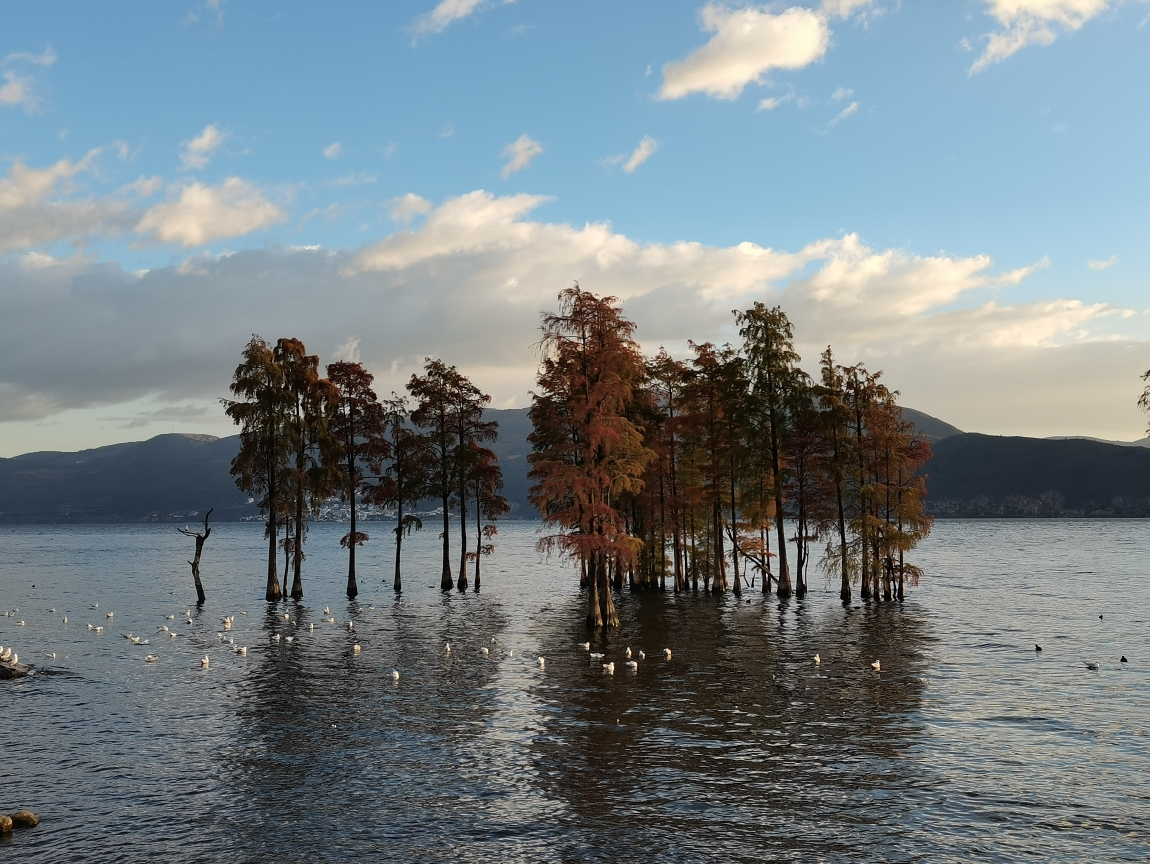 龙龛码头看日出一