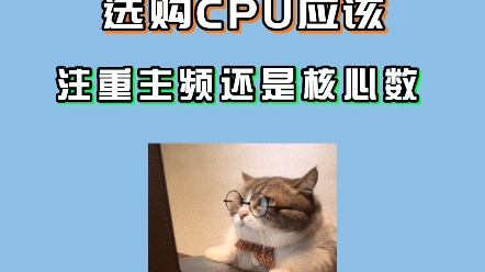 CPU的单核性能个多核心哪个更重要?哔哩哔哩bilibili