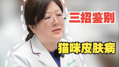 【瑞派宠医】猫咪皮肤病如何鉴别？三招搞定！