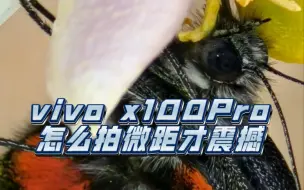 Скачать видео: vivo x100Pro怎么拍微距才震撼？