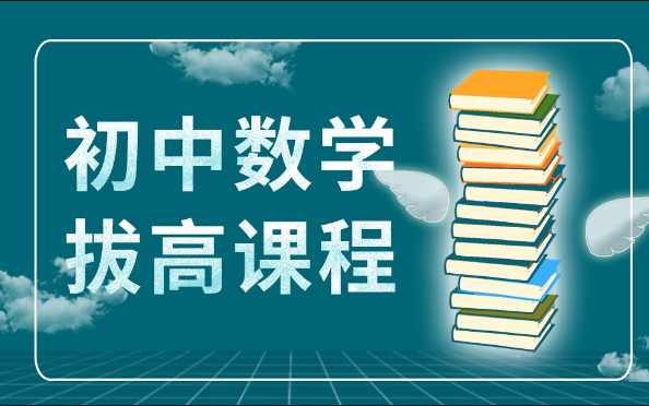 【中考数学】中考冲刺大专题,涵盖初中数学重点,难点知识,全面打通初中数学专题训练,附练习PDF哔哩哔哩bilibili