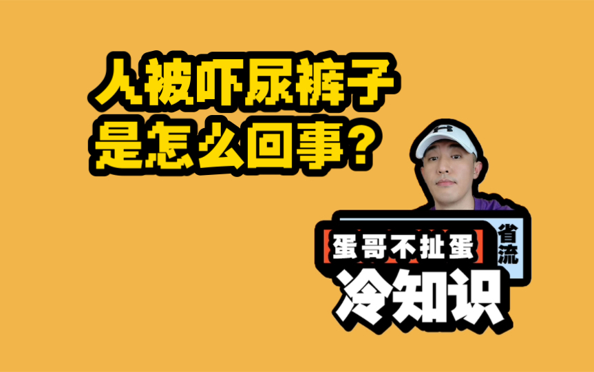 人被吓尿裤子是怎么回事?