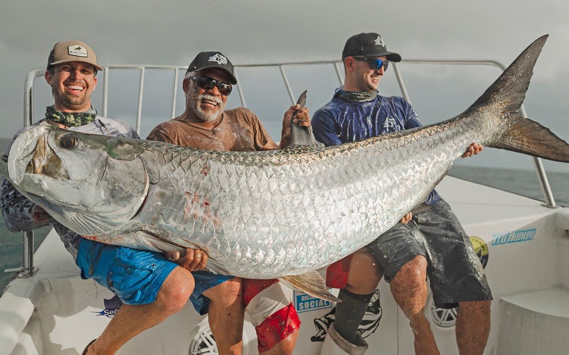 【渔家大师】blacktiph-钓到有史以来最大的海鲢!