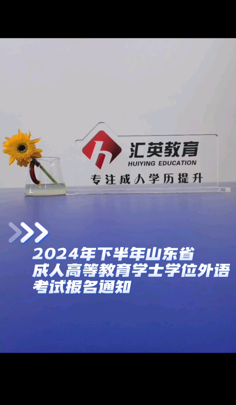 2024年下半年山东省成人高等教育学士学位外语考试报名通知哔哩哔哩bilibili