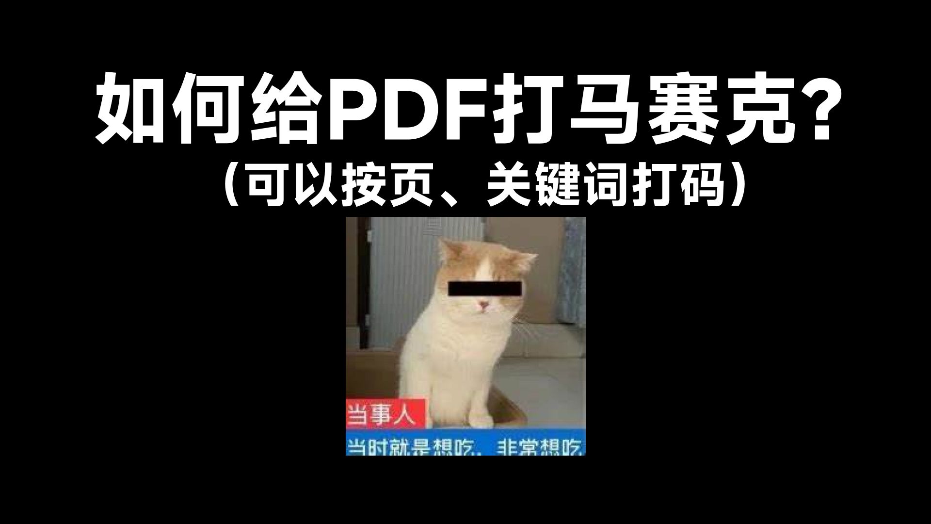 【PDF】如何给PDF打马赛克?如何永久擦除、遮盖PDF内容?如何给PDF加黑块?PDF按页、查找关键词标记密文、PDF隐私保护哔哩哔哩bilibili